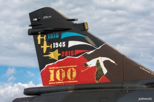 Détails de la dérive du Mirage 200D n° 624, 133-IT, du 2/3 Champagne et de la  décoration spéciale des 100 ans de la SPA 67. 