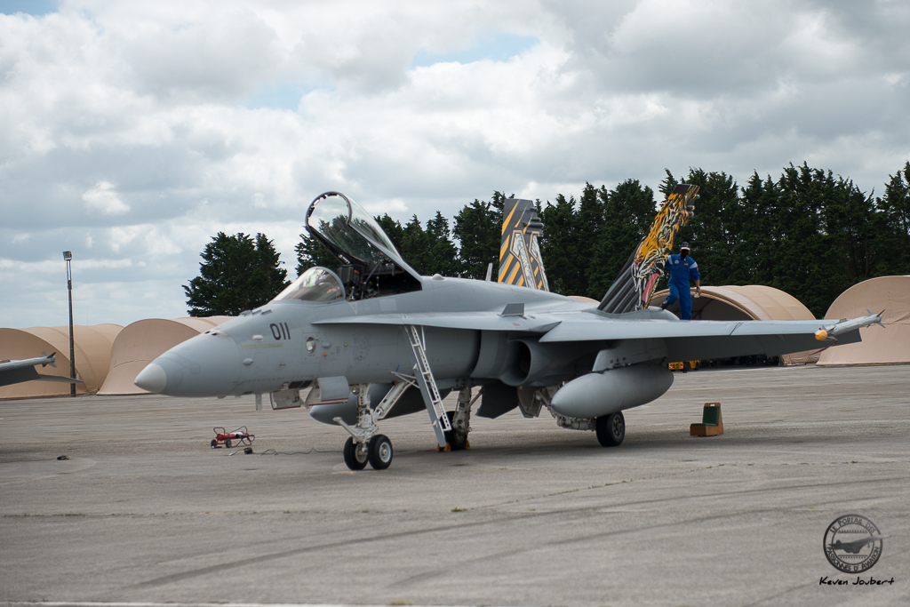 F/A-18 Hornet du Fliegerstaffel 11 (ChAF)