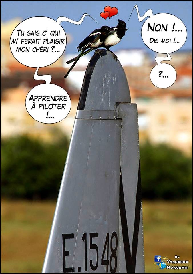 HUMOUR: du rêve de piloter - par Vangeure Masquait